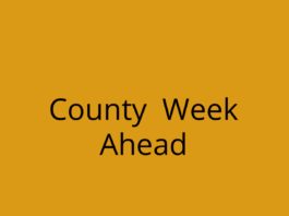 Dane County Week Ahead