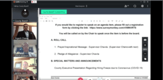 virtual dane county board meeting