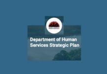 dane county human services planning vision next