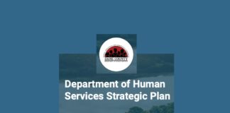 dane county human services planning vision next