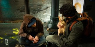 cdc advice on homeless populations